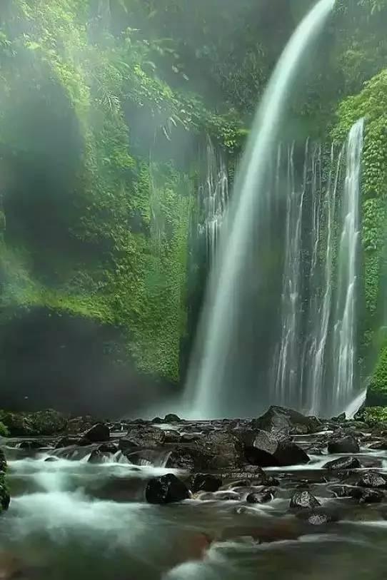 僵尸屠戮